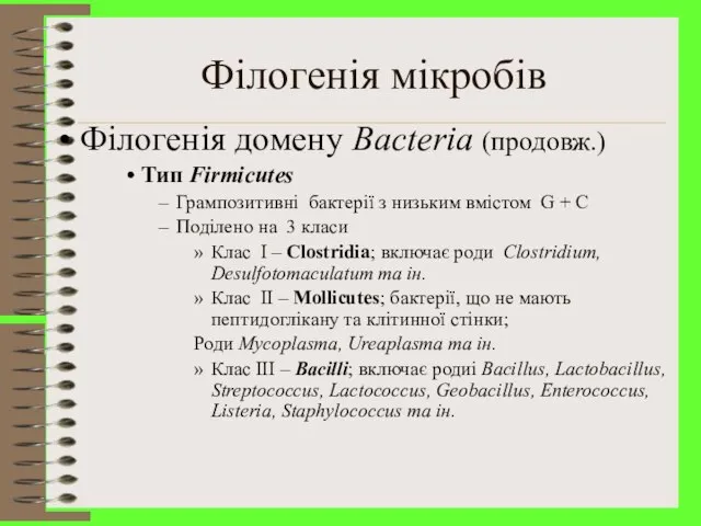 Філогенія мікробів Філогенія домену Bacteria (продовж.) Тип Firmicutes Грампозитивні бактерії з