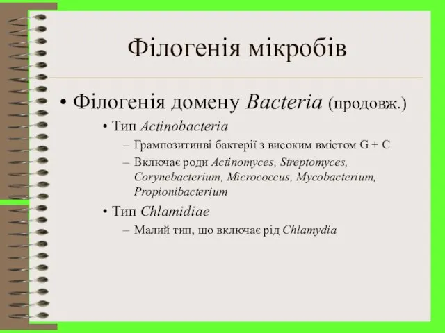 Філогенія мікробів Філогенія домену Bacteria (продовж.) Тип Actinobacteria Грампозитинві бактерії з