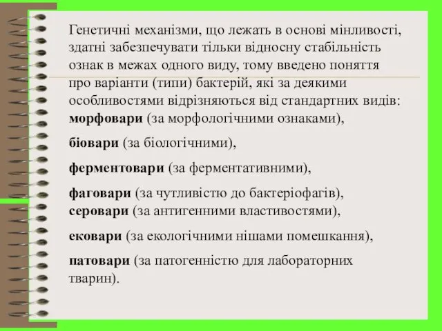 Генетичні механізми, що лежать в основі мінливості, здатні забезпечувати тільки відносну