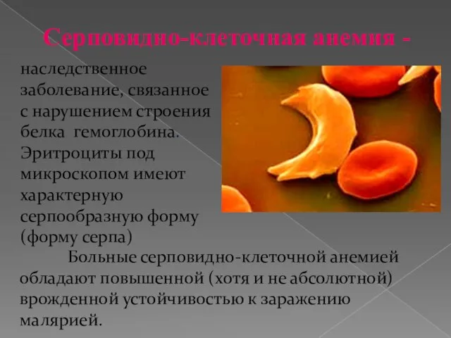 Серповидно-клеточная анемия - наследственное заболевание, связанное с нарушением строения белка гемоглобина.