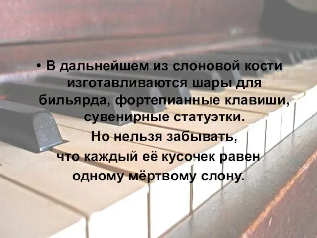 В дальнейшем из слоновой кости изготавливаются шары для бильярда, фортепианные клавиши,