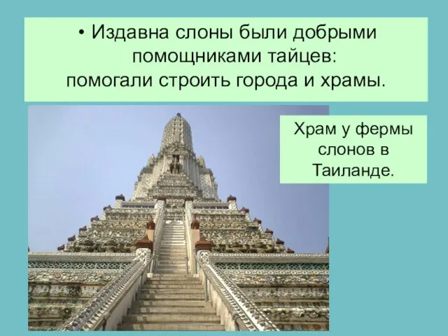 Издавна слоны были добрыми помощниками тайцев: помогали строить города и храмы.