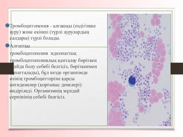 Тромбоцитопения - алғашқы (өздігінше ауру) және екінші (түрлі аурулардың салдары) түрлі