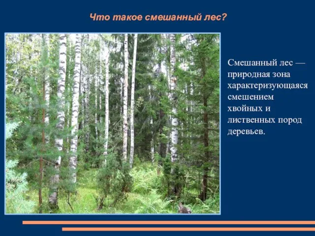 Что такое смешанный лес? Смешанный лес — природная зона характеризующаяся смешением хвойных и лиственных пород деревьев.