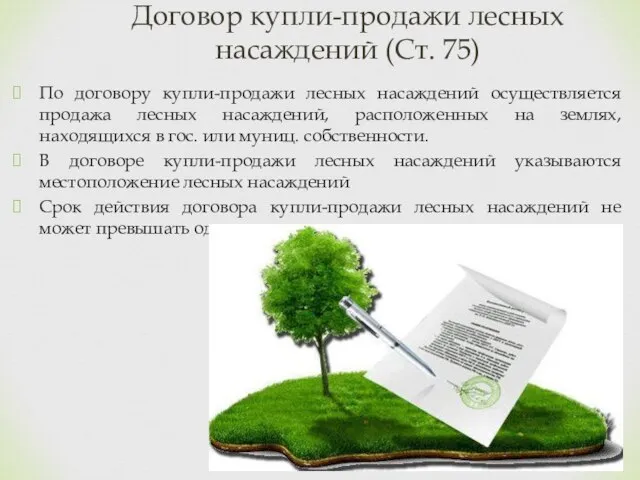 По договору купли-продажи лесных насаждений осуществляется продажа лесных насаждений, расположенных на