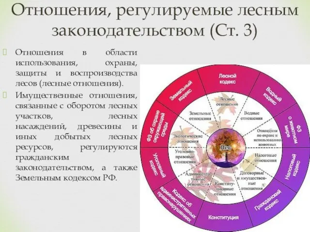 Отношения в области использования, охраны, защиты и воспроизводства лесов (лесные отношения).