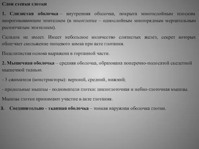 Слои стенки глотки 1. Слизистая оболочка – внутренняя оболочка, покрыта многослойным