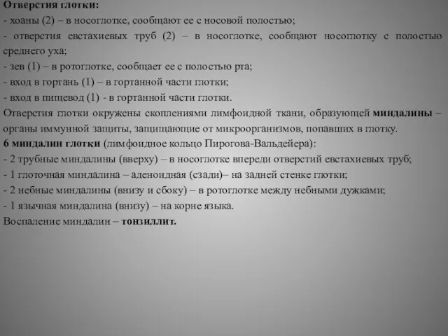 Отверстия глотки: - хоаны (2) – в носоглотке, сообщают ее с