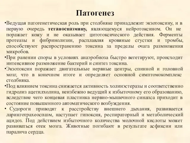 Патогенез Ведущая патогенетическая роль при столбняке принадлежит экзотоксину, и в первую