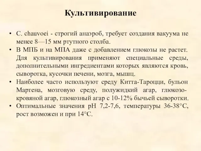 Культивирование С. chauvoei - строгий анаэроб, требует создания вакуума не менее