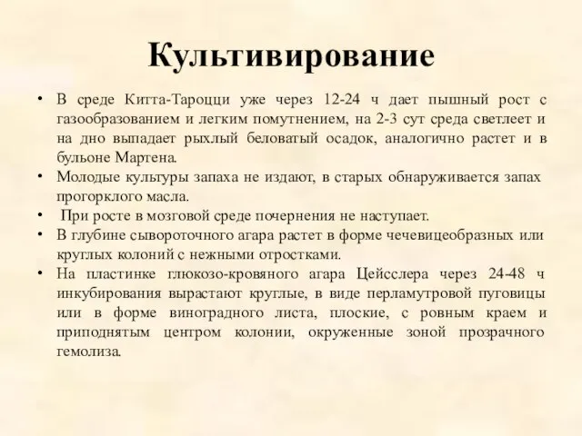 Культивирование В среде Китта-Тароцци уже через 12-24 ч дает пышный рост