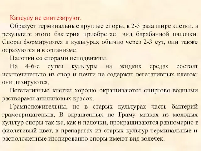 Капсулу не синтезируют. Образует терминальные круглые споры, в 2-3 раза шире