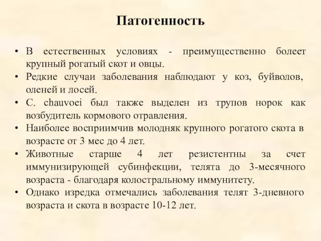 Патогенность В естественных условиях - преимущественно болеет крупный рогатый скот и