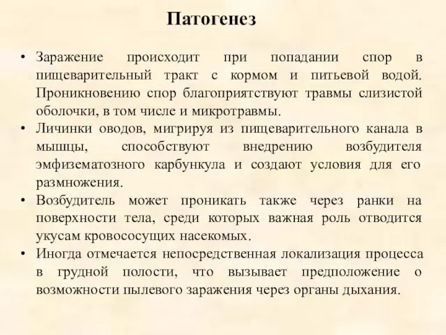 Патогенез Заражение происходит при попадании спор в пищеварительный тракт с кормом