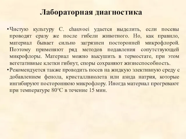 Лабораторная диагностика Чистую культуру С. chauvoei удается выделить, если посевы проводят