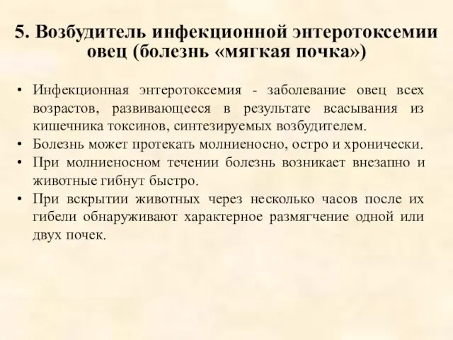 5. Возбудитель инфекционной энтеротоксемии овец (болезнь «мягкая почка») Инфекционная энтеротоксемия -