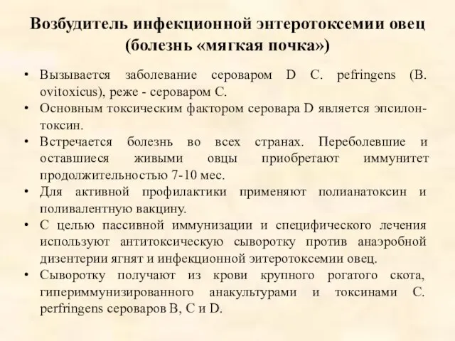 Возбудитель инфекционной энтеротоксемии овец (болезнь «мягкая почка») Вызывается заболевание сероваром D