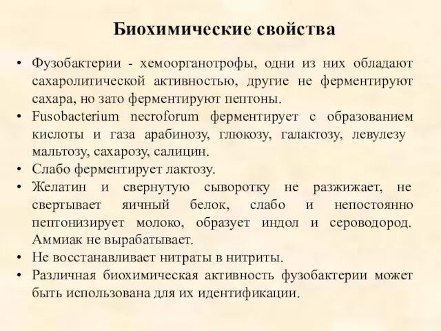 Биохимические свойства Фузобактерии - хемоорганотрофы, одни из них обладают сахаролитической активностью,