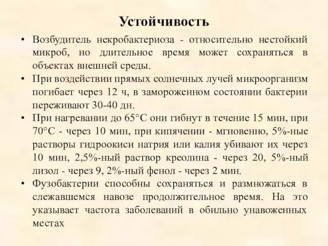 Устойчивость Возбудитель некробактериоза - относительно нестойкий микроб, но длительное время может