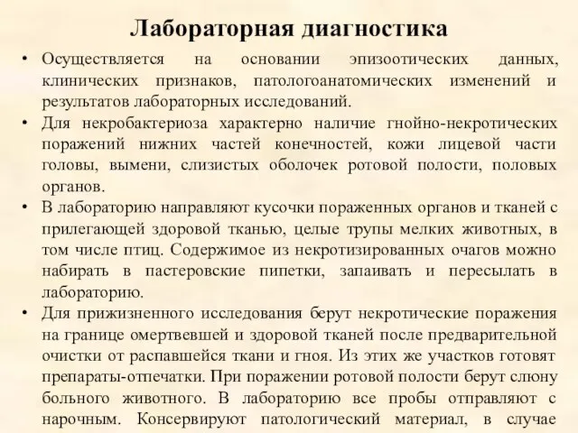 Лабораторная диагностика Осуществляется на основании эпизоотических данных, клинических признаков, патологоанатомических изменений