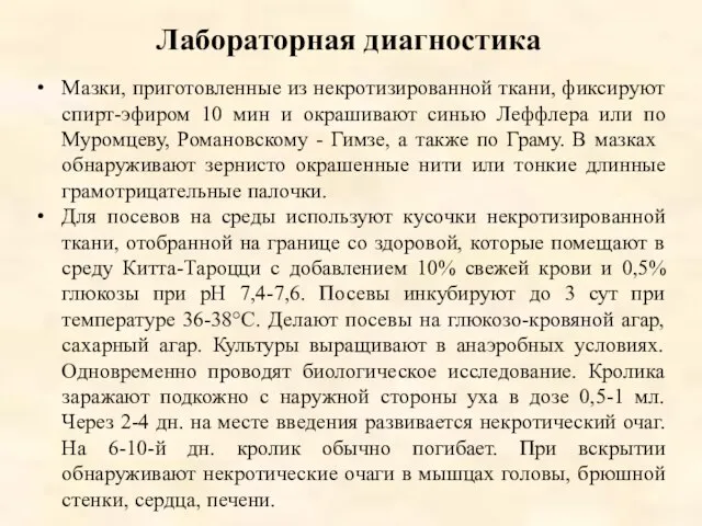 Лабораторная диагностика Мазки, приготовленные из некротизированной ткани, фиксируют спирт-эфиром 10 мин