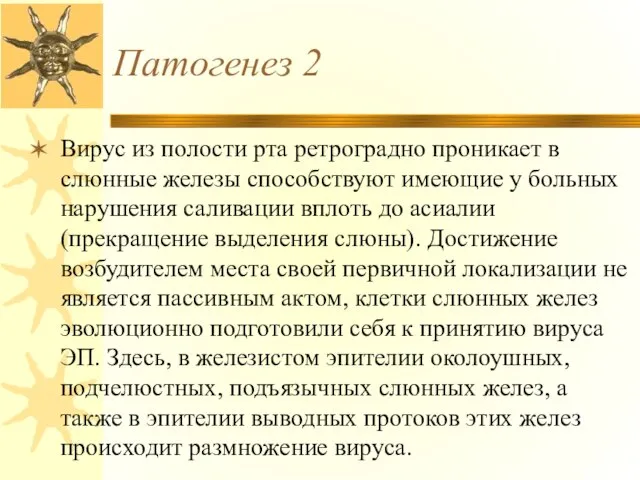 Патогенез 2 Вирус из полости рта ретроградно проникает в слюнные железы