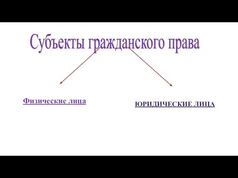 ЮРИДИЧЕСКИЕ ЛИЦА Субъекты гражданского права Физические лица