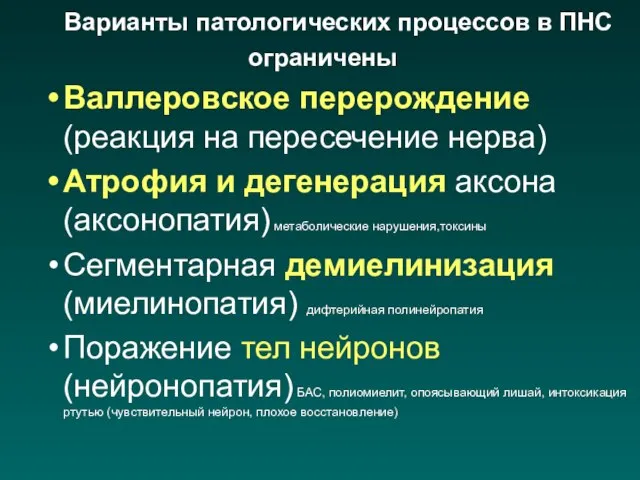 Варианты патологических процессов в ПНС ограничены Валлеровское перерождение (реакция на пересечение