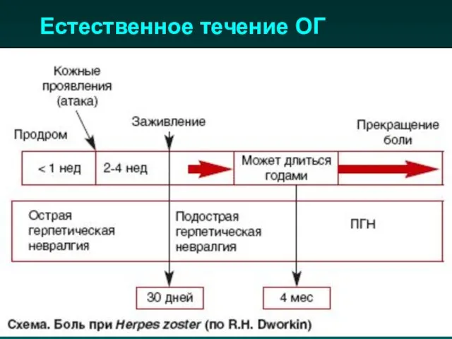 Естественное течение ОГ