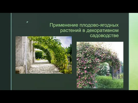 Применение плодово-ягодных растений в декоративном садоводстве