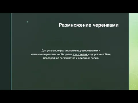 Размножение черенками Для успешного размножения одревесневшими и зелеными черенками необходимы три