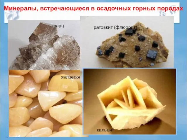 Минералы, встречающиеся в осадочных горных породах кварц халцедон ратовкит (флюорит) кальцит