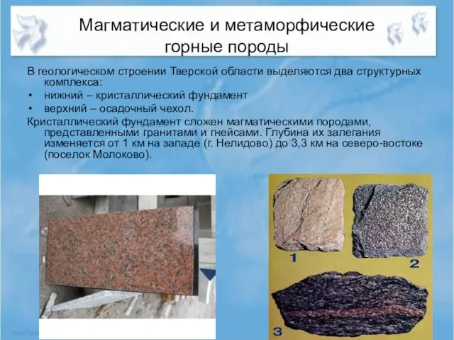 Магматические и метаморфические горные породы В геологическом строении Тверской области выделяются