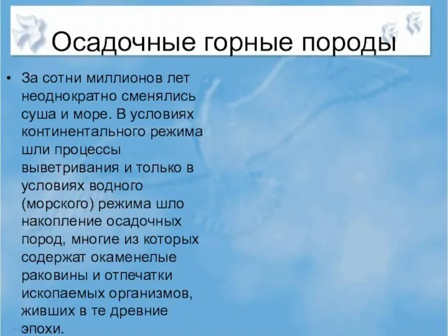 Осадочные горные породы За сотни миллионов лет неоднократно сменялись суша и