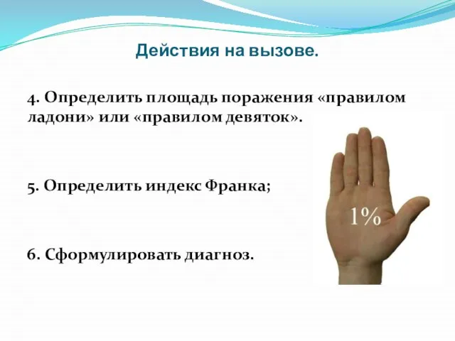 Действия на вызове. 4. Определить площадь поражения «правилом ладони» или «правилом