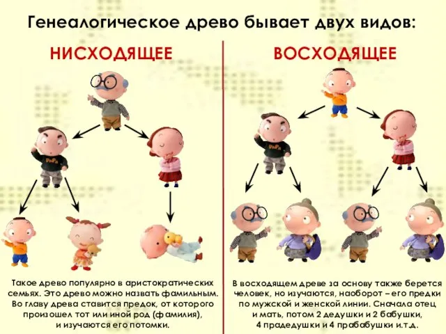 Генеалогическое древо бывает двух видов: НИСХОДЯЩЕЕ ВОСХОДЯЩЕЕ Такое древо популярно в