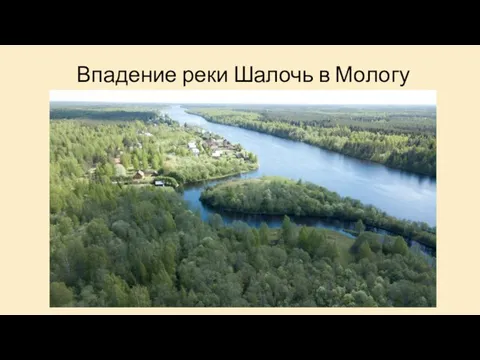 Впадение реки Шалочь в Мологу