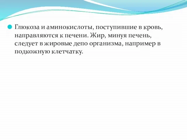 Глюкоза и аминокислоты, поступившие в кровь, направляются к печени. Жир, минуя