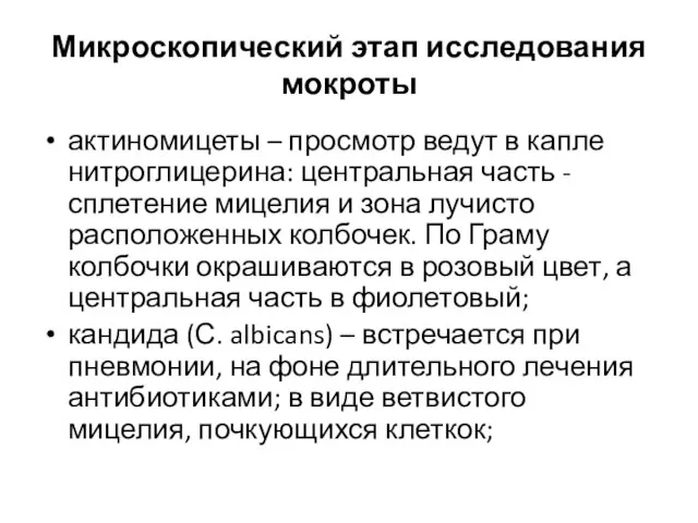 Микроскопический этап исследования мокроты актиномицеты – просмотр ведут в капле нитроглицерина: