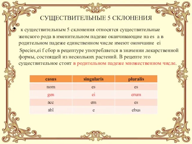 СУЩЕСТВИТЕЛЬНЫЕ 5 СКЛОНЕНИЯ к существительным 5 склонения относятся существительные женского рода