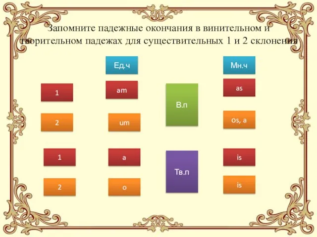 Запомните падежные окончания в винительном и творительном падежах для существительных 1