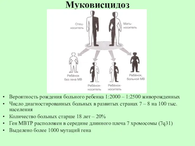 Муковисцидоз Вероятность рождения больного ребенка 1:2000 – 1:2500 живорожденных Число диагностированных