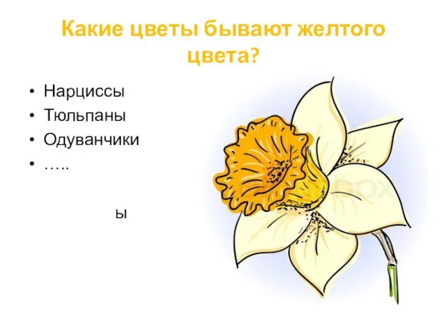 Какие цветы бывают желтого цвета? Нарциссы Тюльпаны Одуванчики ….. ы