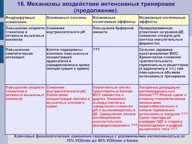 16. Механизмы воздействия интенсивных тренировок (продолжение). Ключевые физиологические изменения связанные с