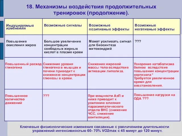 18. Механизмы воздействия продолжительных тренировок (продолжение). Ключевые физиологические изменения связанные с