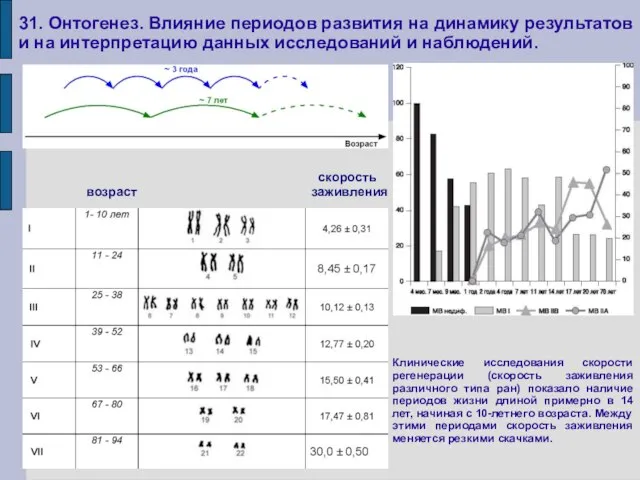 31. Онтогенез. Влияние периодов развития на динамику результатов и на интерпретацию