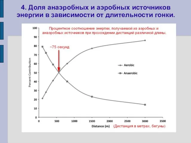 4. Доля анаэробных и аэробных источников энергии в зависимости от длительности гонки.