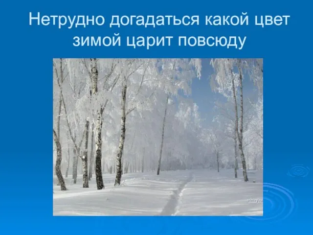 Нетрудно догадаться какой цвет зимой царит повсюду