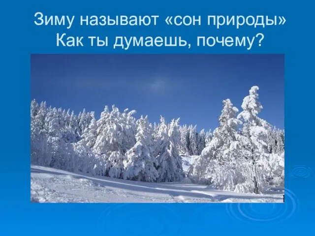 Зиму называют «сон природы» Как ты думаешь, почему?