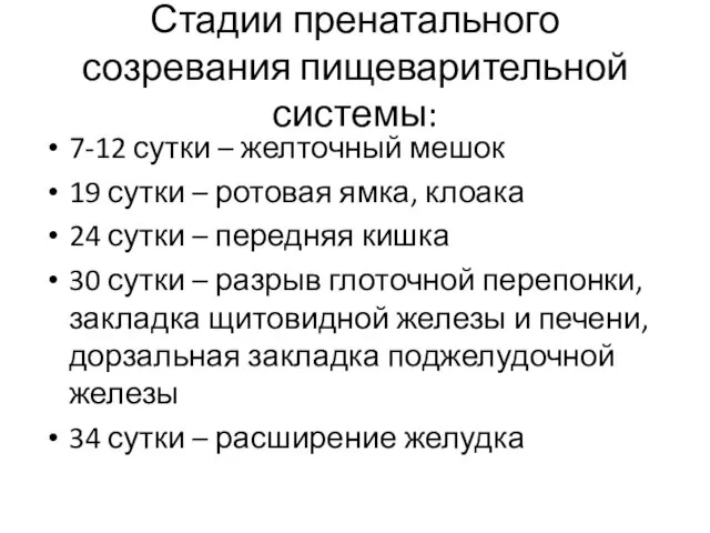 Стадии пренатального созревания пищеварительной системы: 7-12 сутки – желточный мешок 19